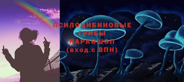 гашик Абаза