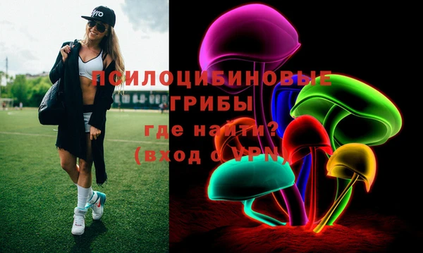 гашик Абаза