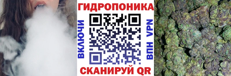 Бошки Шишки OG Kush  дарнет шоп  Хасавюрт 